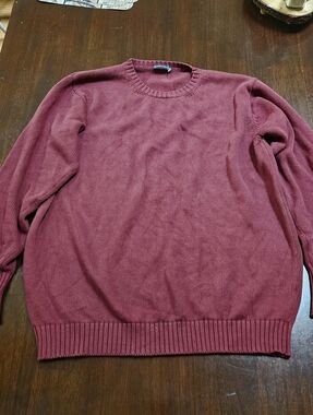 Nwot Brandy Melville Cotton Oversized Kit Crew Neck Sweater